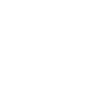 94 negativo Vivicos Logo xp